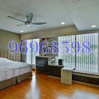 The Greenwood (D11), Terrace #127444152